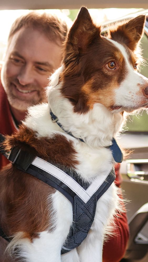 Ein Mann leint seinen Hund in seinem Škoda an. Dieser sitzt auf einer Hundematte.